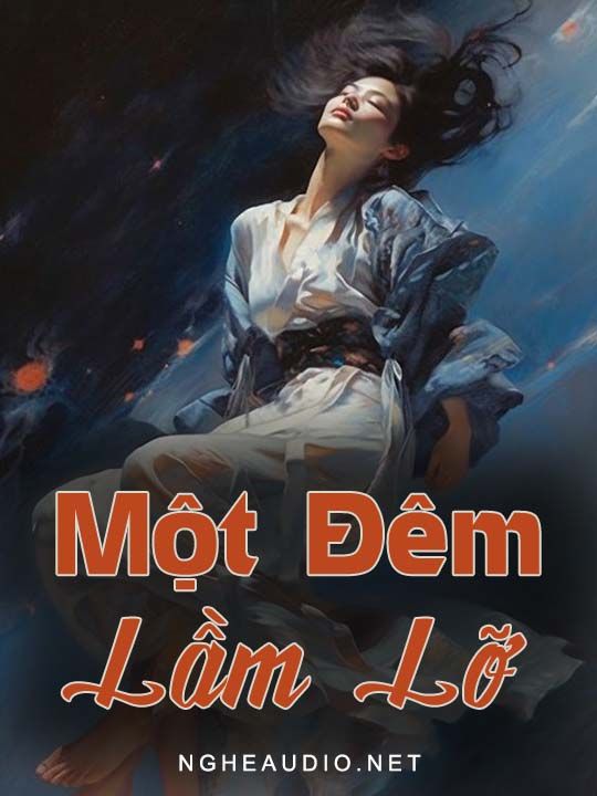 Một Đêm Lầm Lỡ